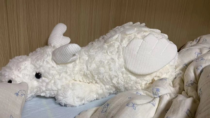 Lainika Fluffy Dragon